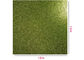 China 300g groen schitter Document, Tweezijdige schittert Scrapbooking Cardstock exporteur